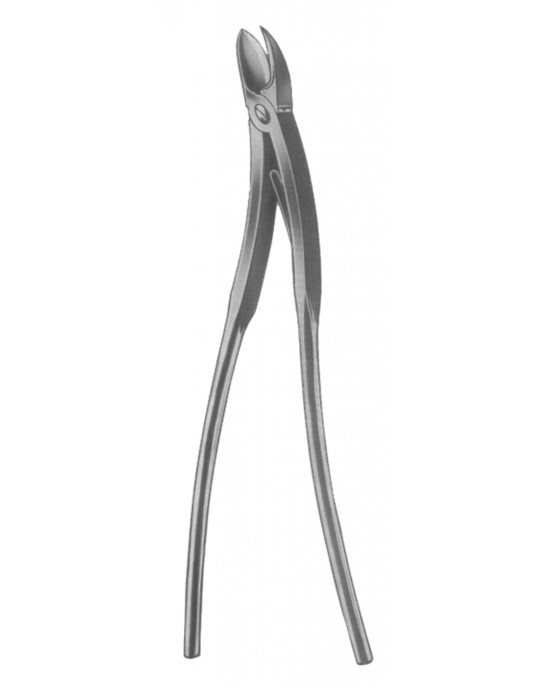 IE 19-5625-34