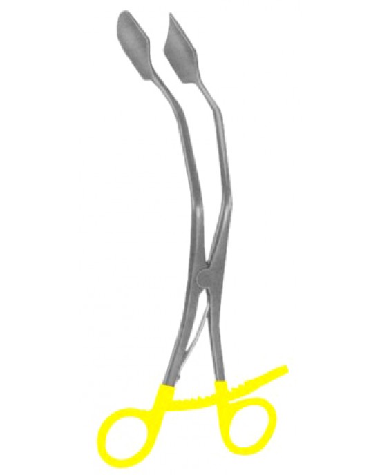 IE 29-8013-00